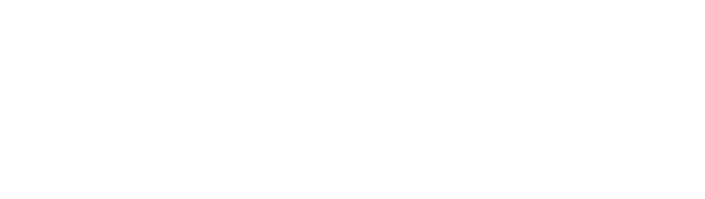 NONANTE FOLIES Logo